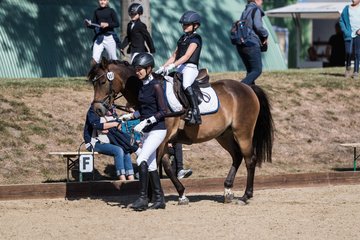 Bild 28 - Pony Akademie Turnier